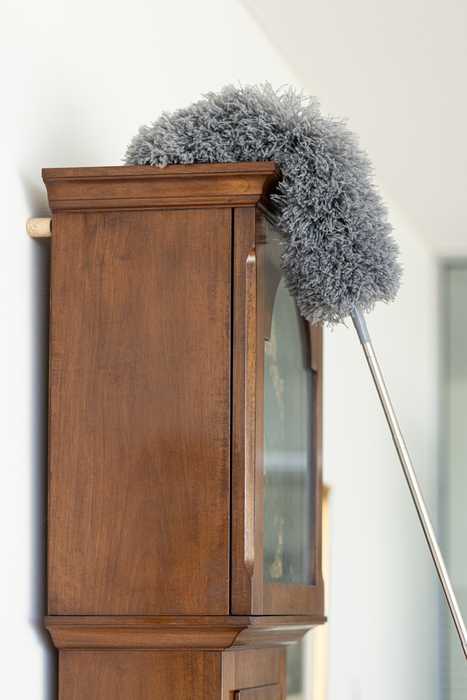 Dammvippa m/teleskopskaft 85-250 cm G. Funder